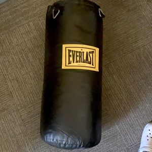 Everlast Punching Bag (75 lbs)